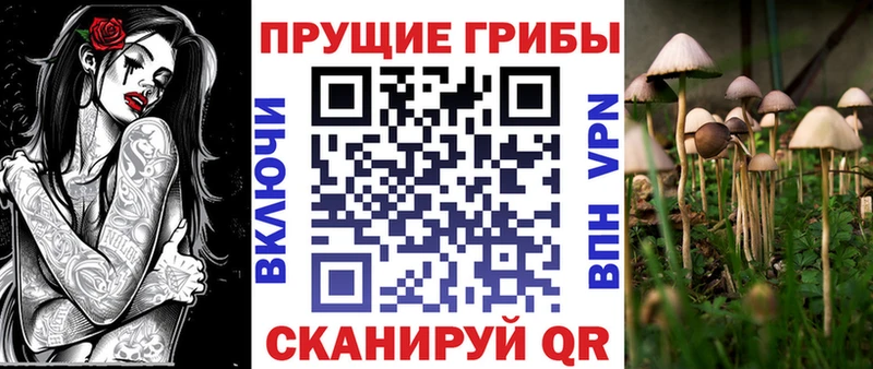 Галлюциногенные грибы мицелий  Выкса 