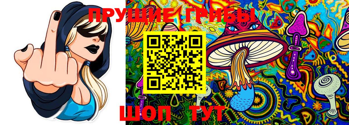 Галлюциногенные грибы ЛСД  Вход с VPN  Выкса 