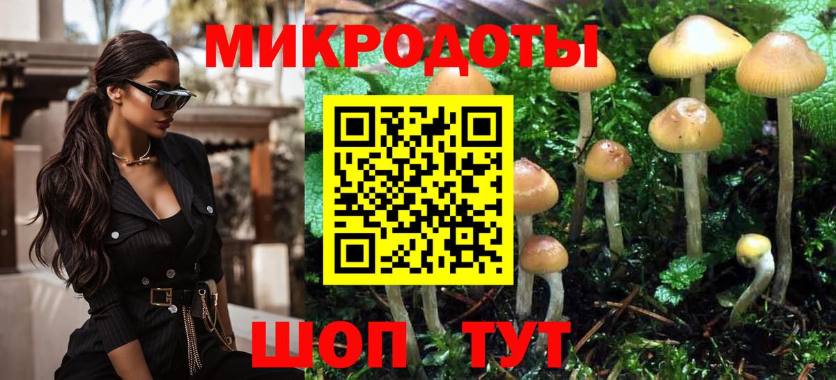 Псилоцибиновые грибы Psilocybe Выкса